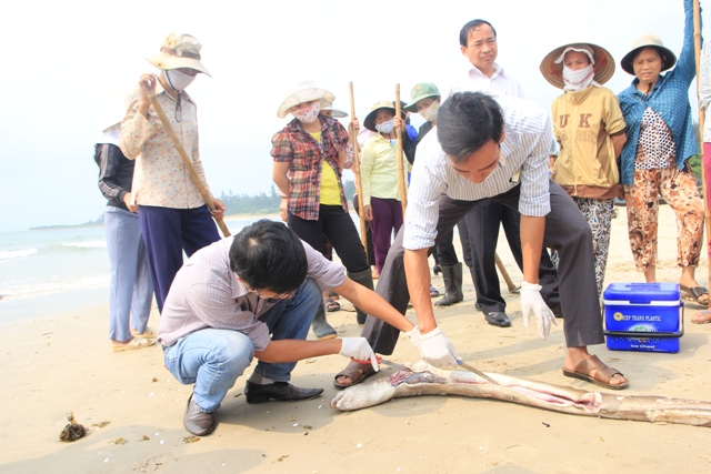 Bộ Khoa học và Công nghệ khẳng định đã có đủ căn cứ khoa học thuyết phục về nguyên nhân cá chết và kết luận cuối cùng sẽ sớm được công bố. (Thời sự đêm 14/5/2016)